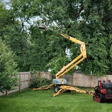 Best Tree Maintenance Programs  in Exton, PA