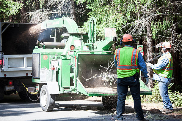 Exton, PA Tree Care Company